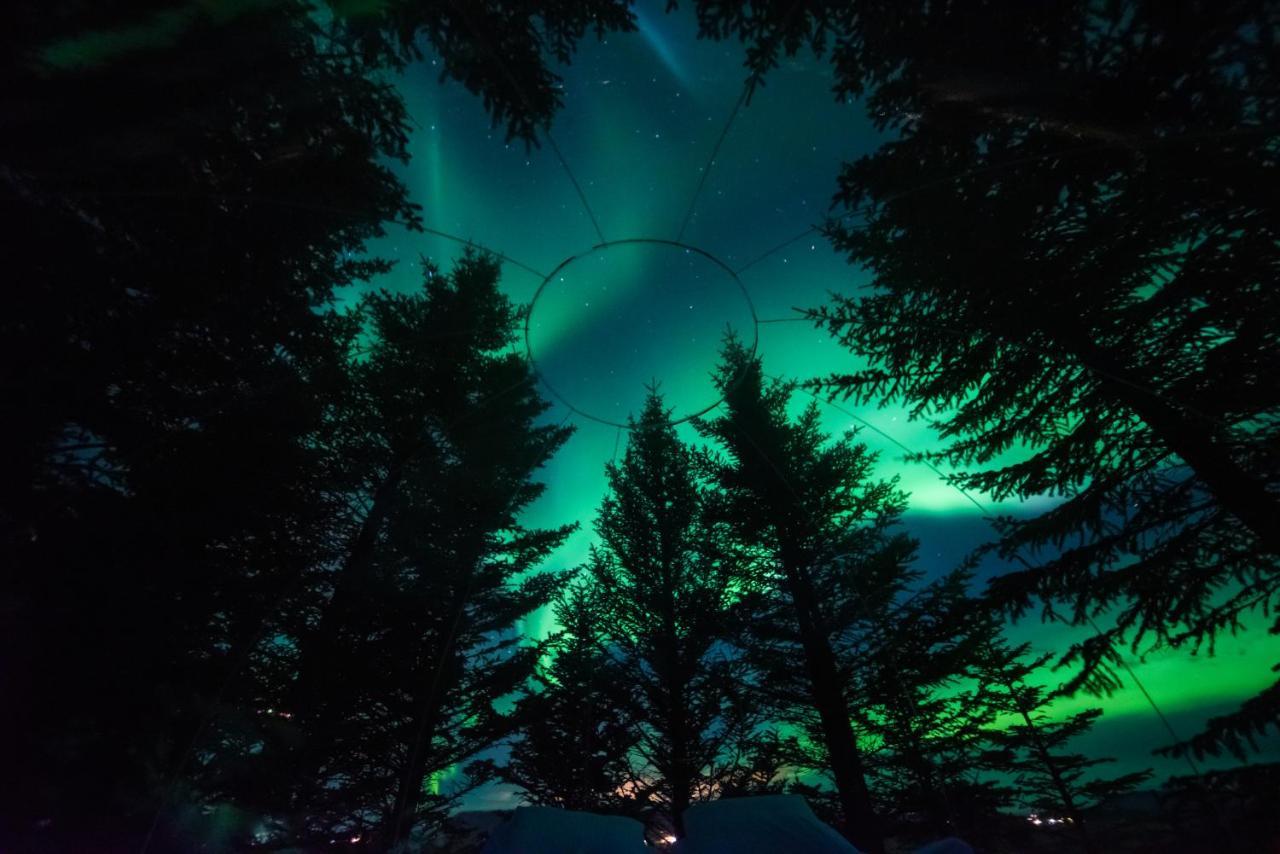 Buubble Hotel - Hrosshagi Selfoss Esterno foto